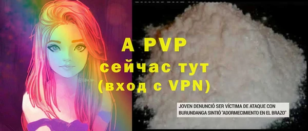 индика Кукмор