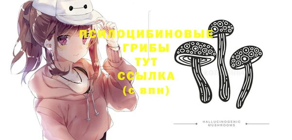 дурь Арсеньев