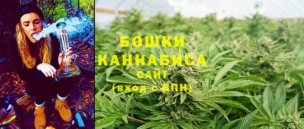 индика Кукмор