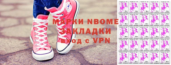 индика Кукмор