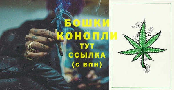 крисы Балахна