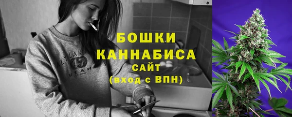 прущие грибы Баксан