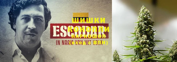 дурь Арсеньев