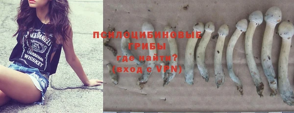 индика Кукмор
